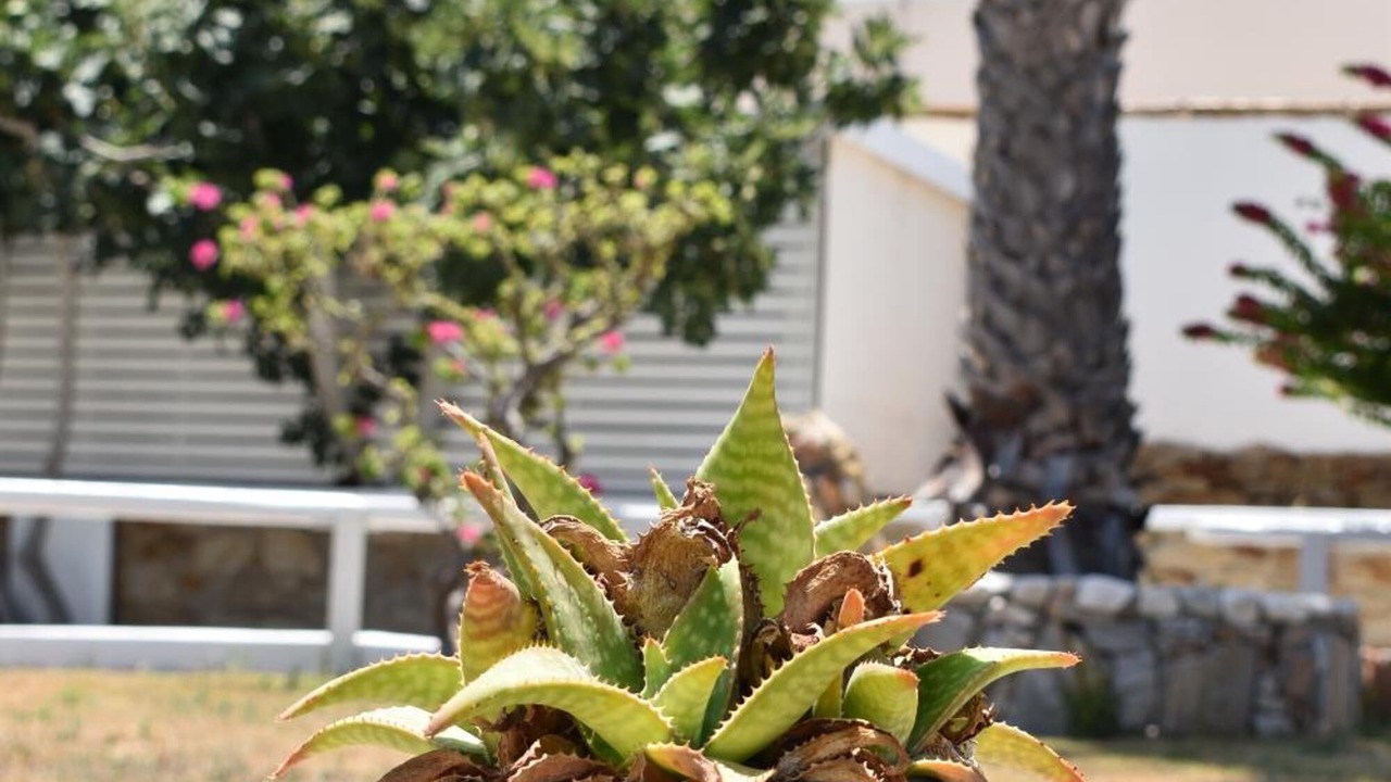 Photo of Outdoor in Ios