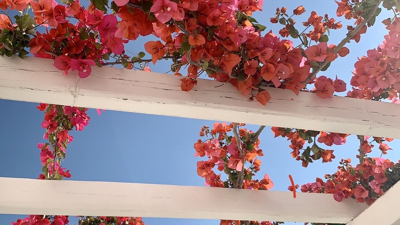 Photo of Outdoor in Ios
