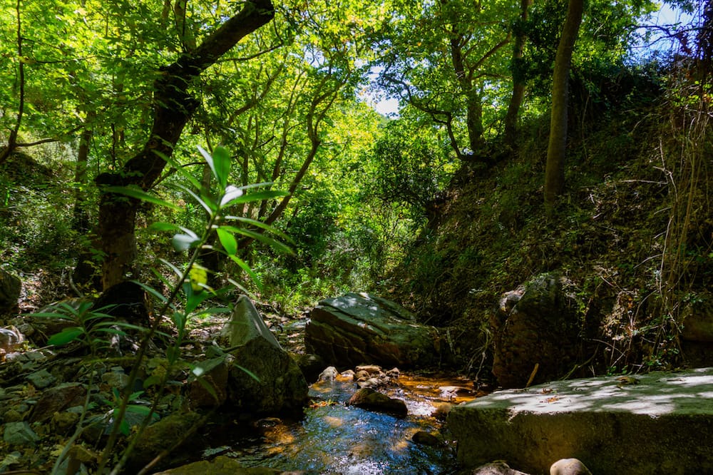 Photo of Outdoor in Grigoriana