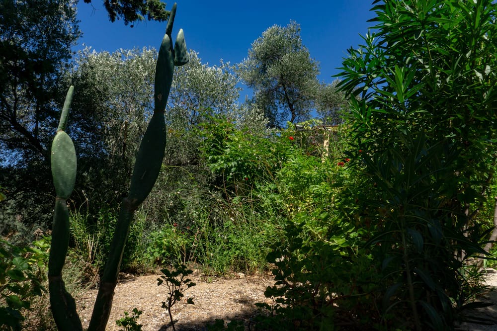 Photo of Outdoor in Grigoriana