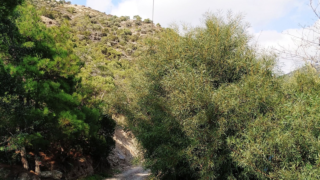Photo of Outdoor in Ferma