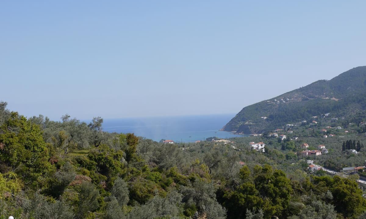 Photo of Others in Skopelos