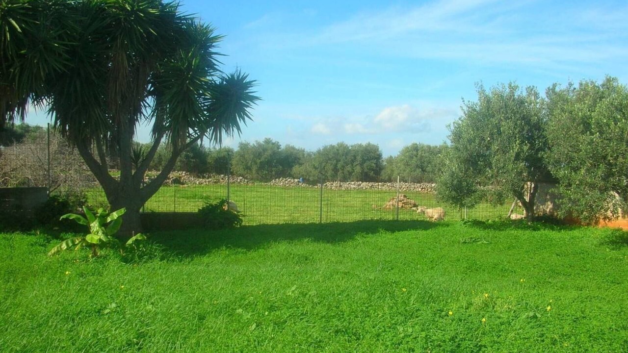 Photo of Others in Kefalas