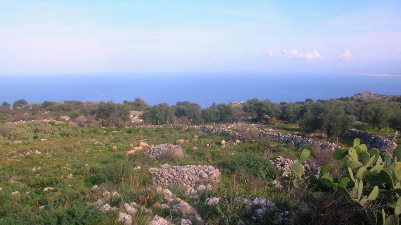 Photo of Outdoor in Kefalas
