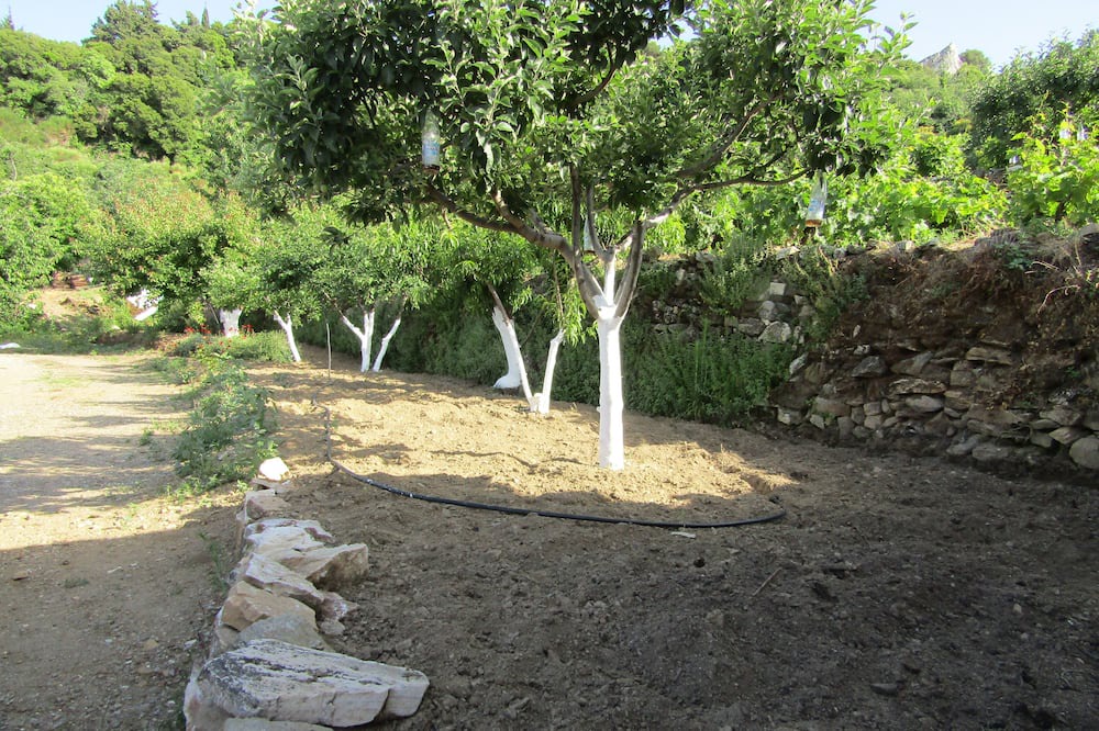 Photo of Others in Ampelos