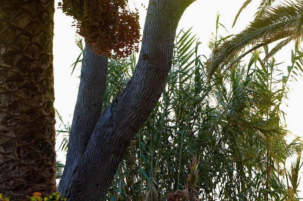 Photo of Outdoor in Amoudi