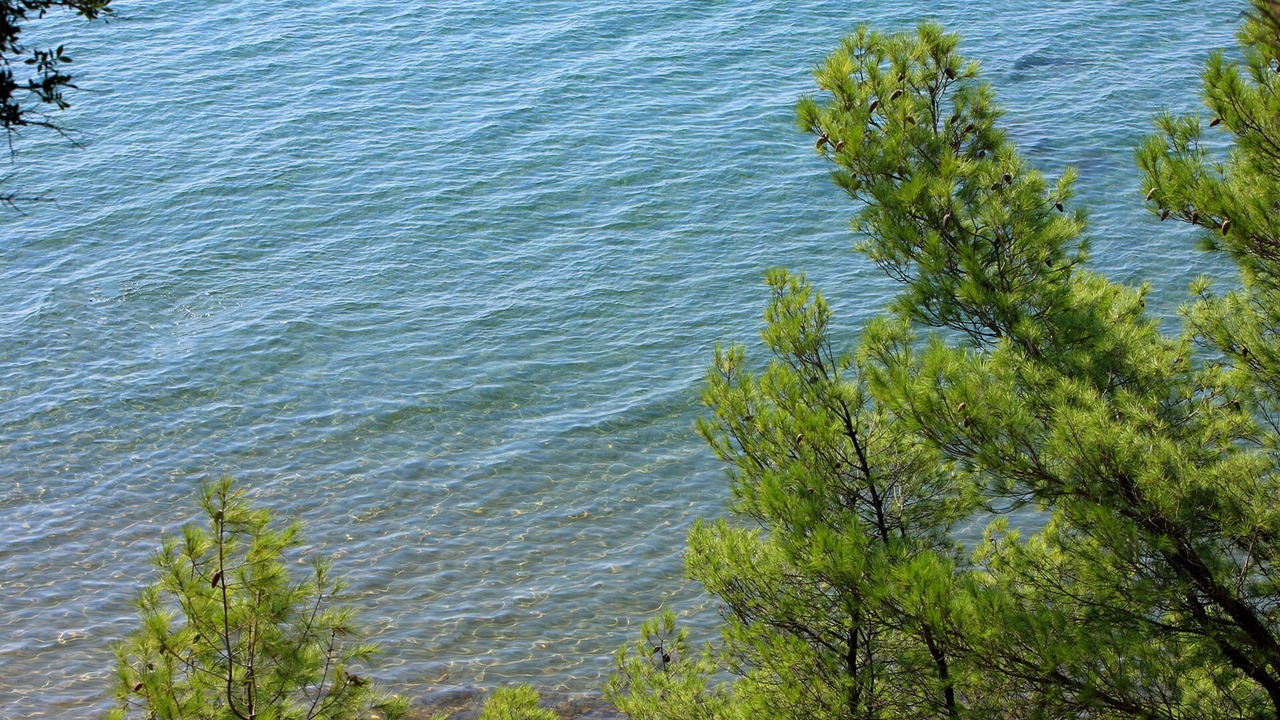 Photo of Others in Metamorfosi