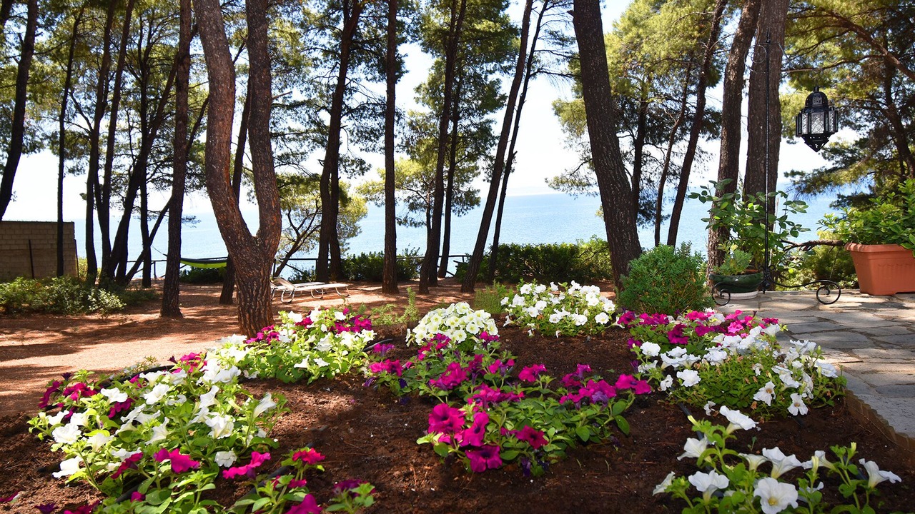 Photo of Outdoor in Metamorfosi