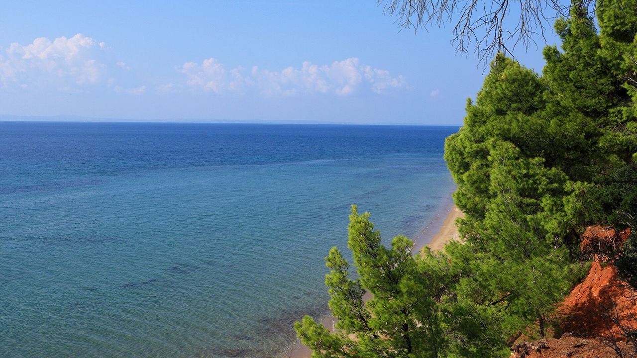 Photo of Others in Metamorfosi