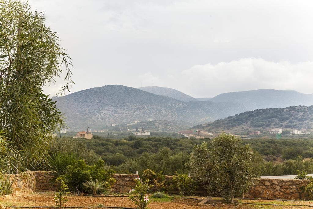 Photo of Outdoor in Old Hersonissos