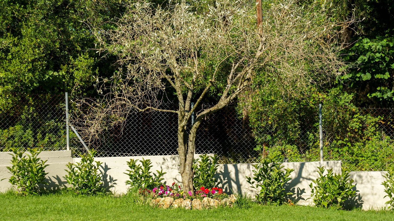 Photo of Outdoor in Poulades