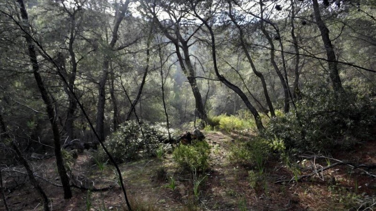 Photo of Outdoor in Scala