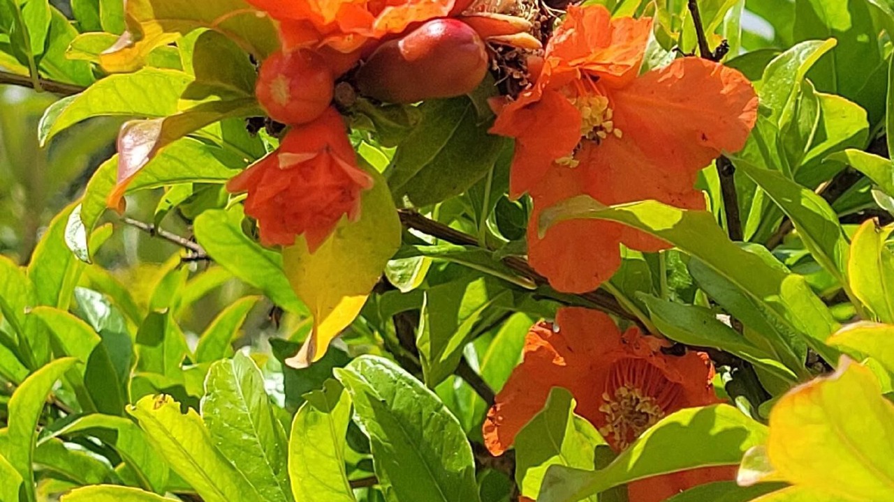 Photo of Outdoor in Monopari