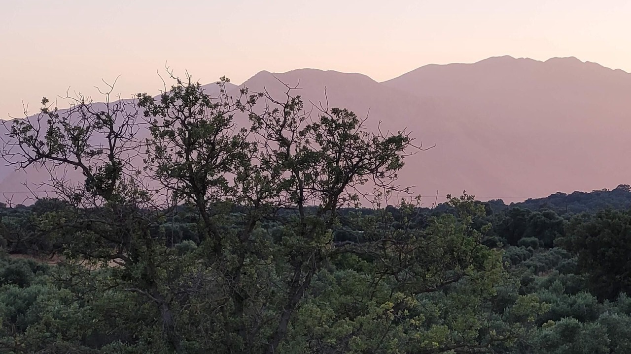 Photo of Outdoor in Monopari