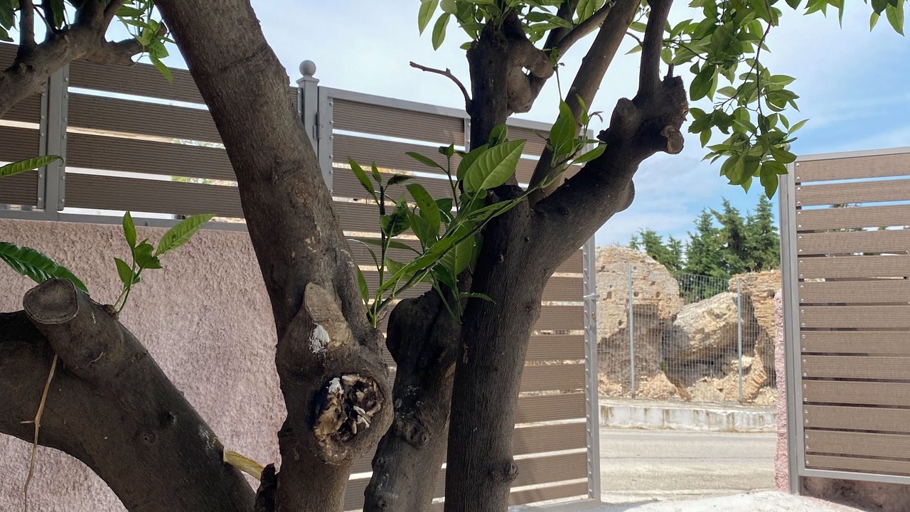 Photo of Outdoor in Archea Korinthos