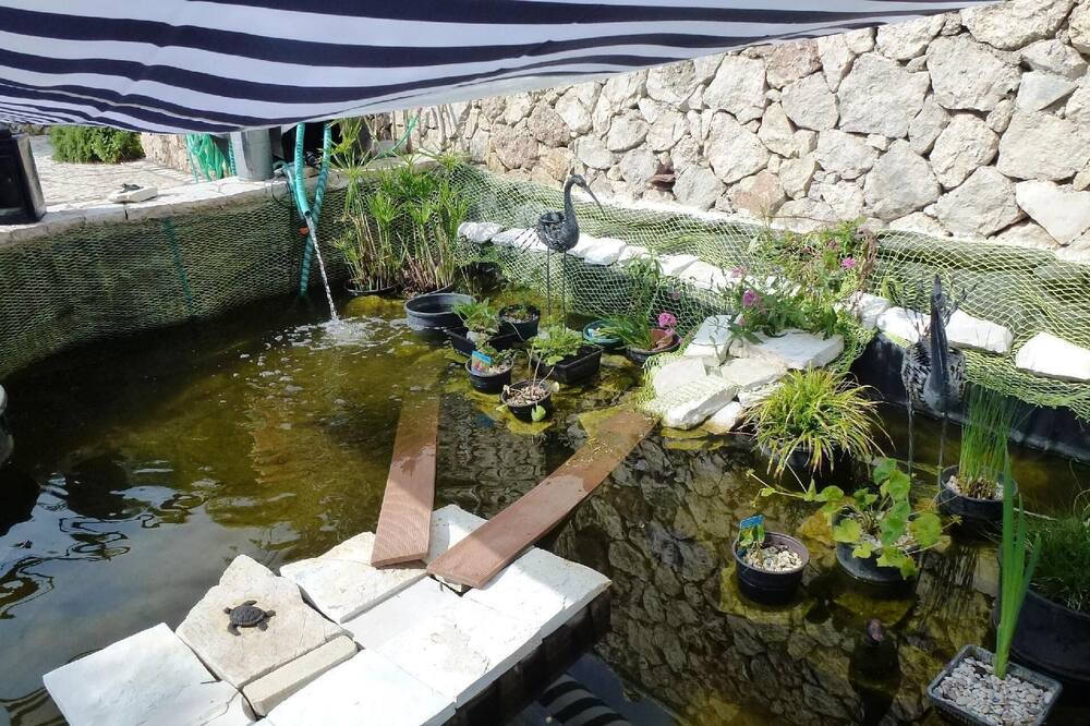 Photo of Outdoor in Apolpaina