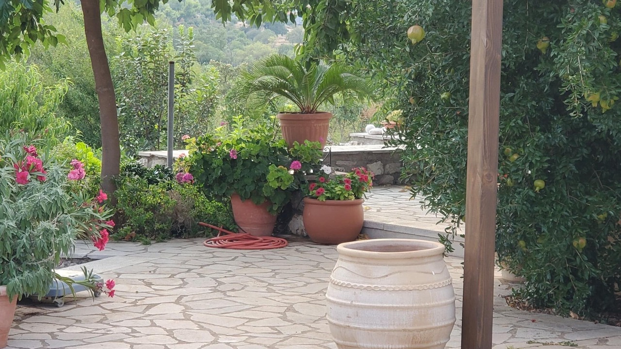 Photo of Outdoor in Fokiano