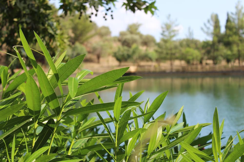 Photo of Outdoor in Zaros