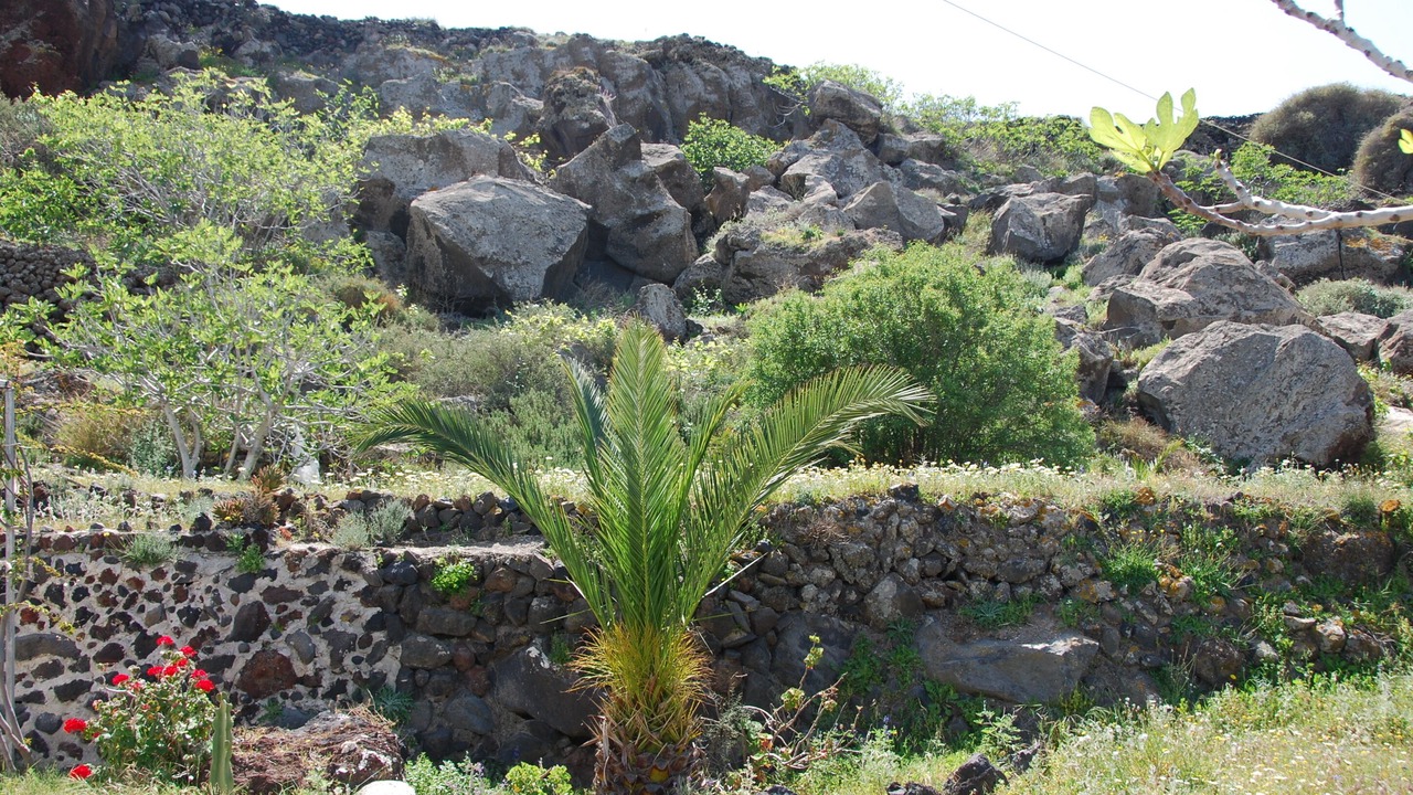 Photo of Outdoor in Kamari
