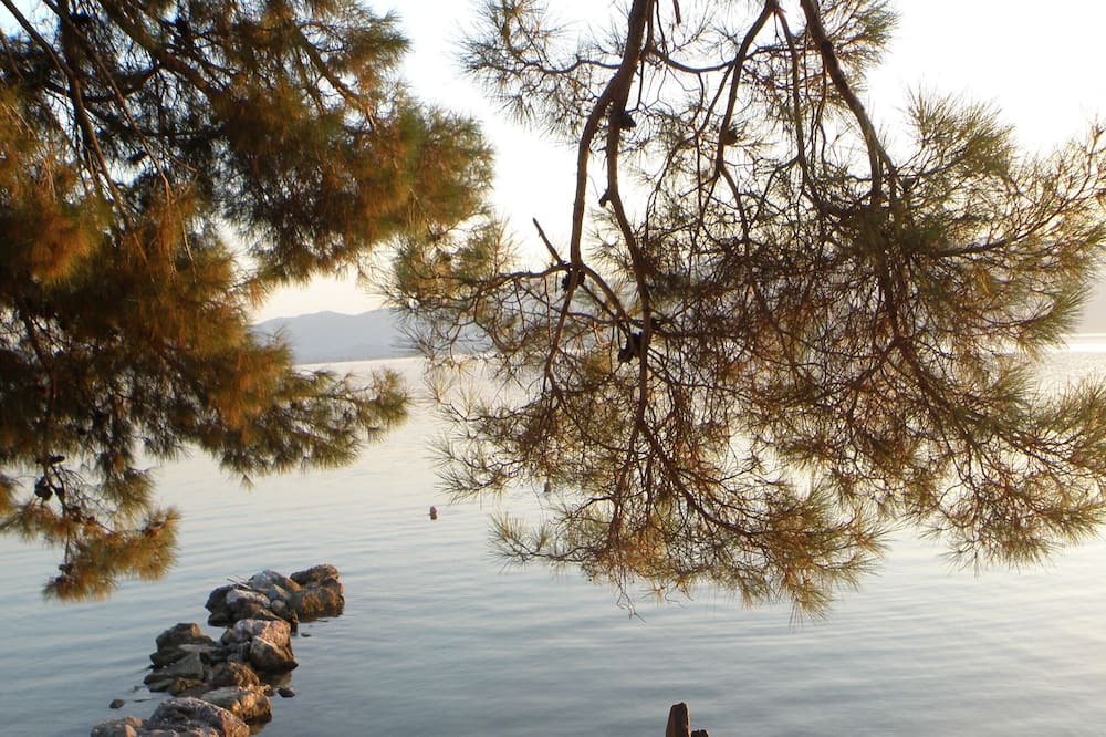 Photo of Others in Mytilene