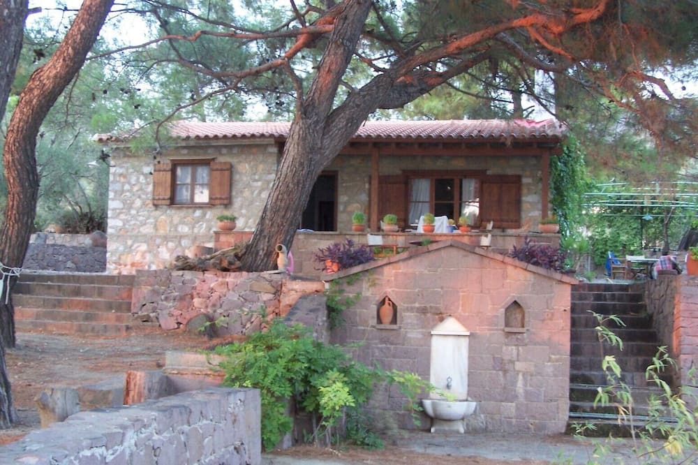 Photo of Others in Mytilene