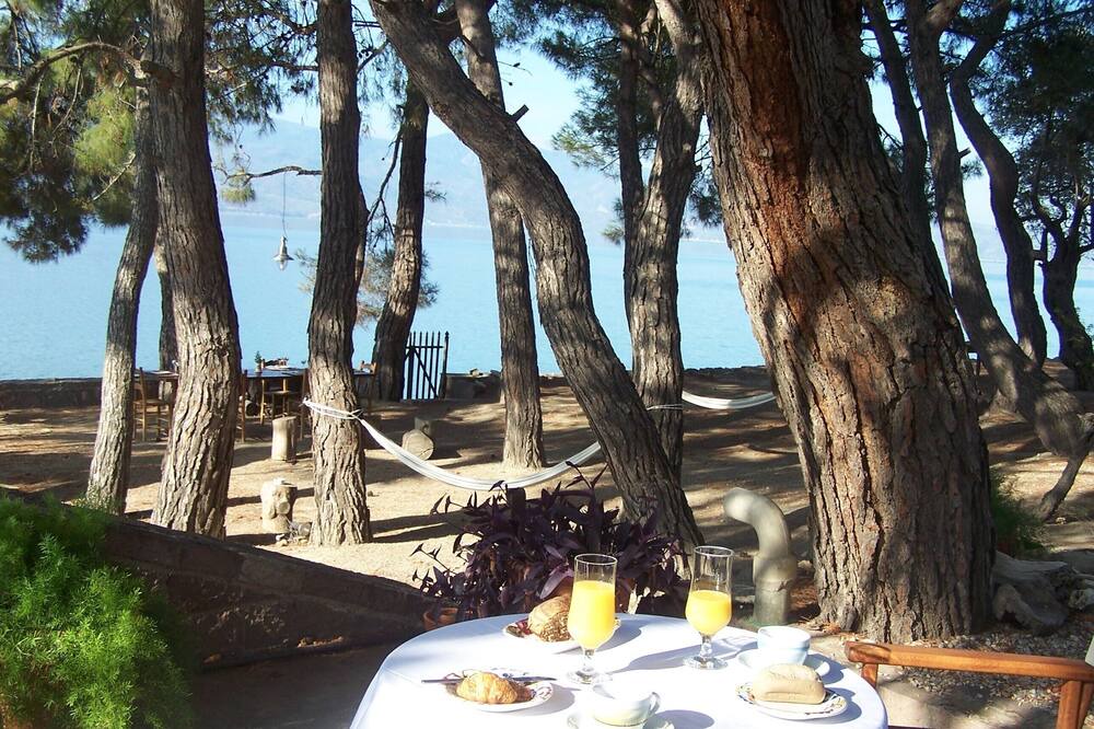 Photo of Others in Mytilene