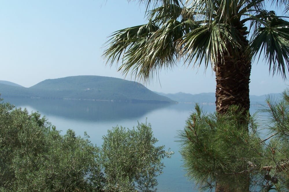 Photo of Others in Mytilene