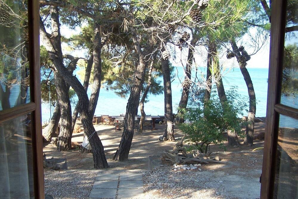 Photo of Others in Mytilene
