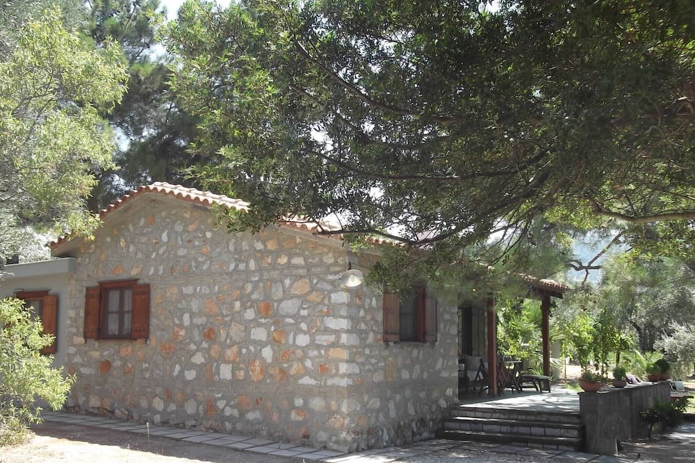 Photo of Others in Mytilene