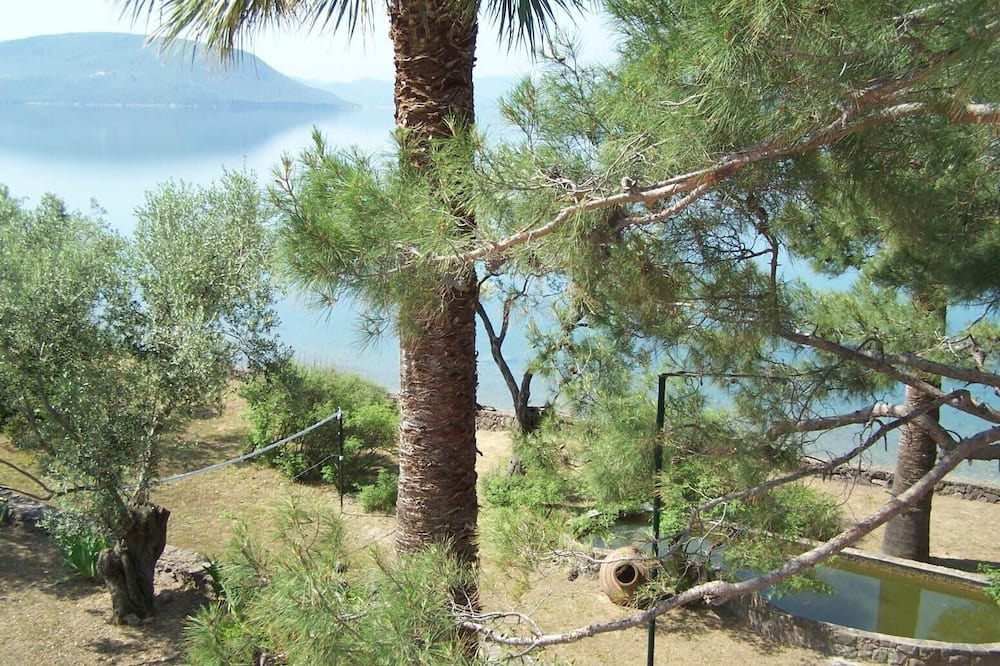Photo of Others in Mytilene