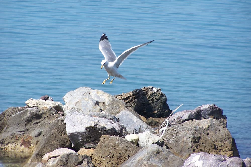 Photo of Others in Mytilene