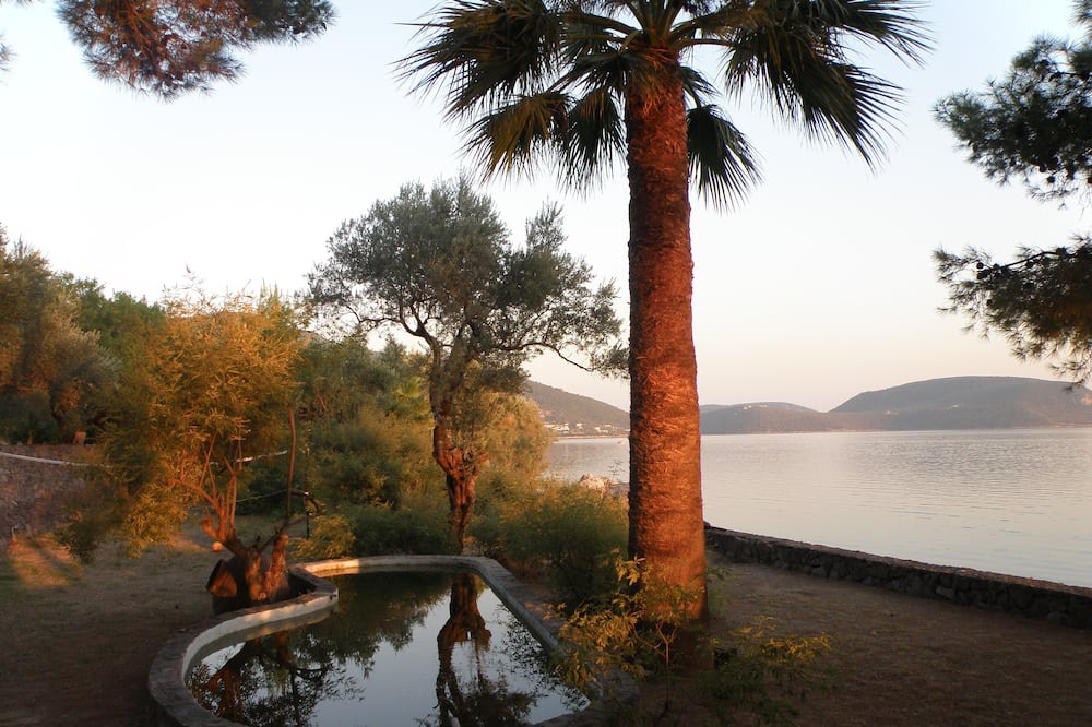 Photo of Others in Mytilene