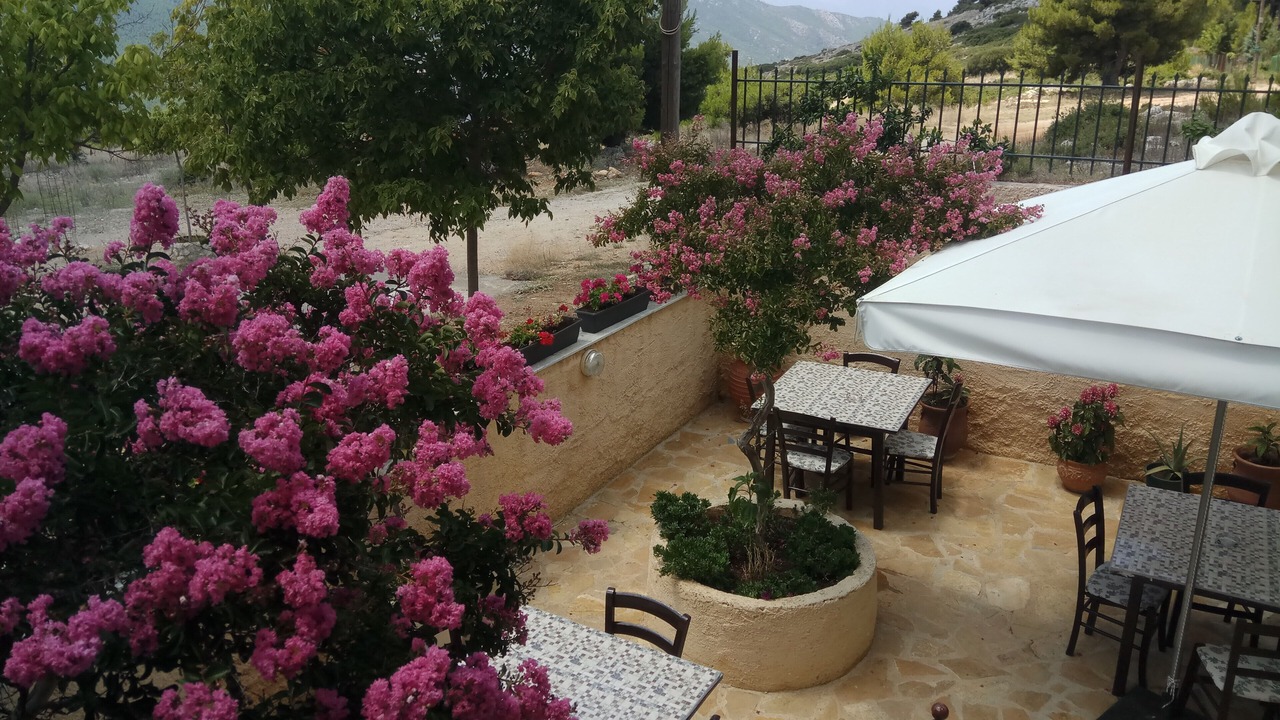 Photo of Outdoor in Almiros