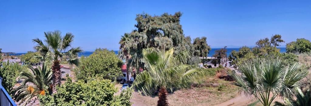 Photo of Others in Lesvos