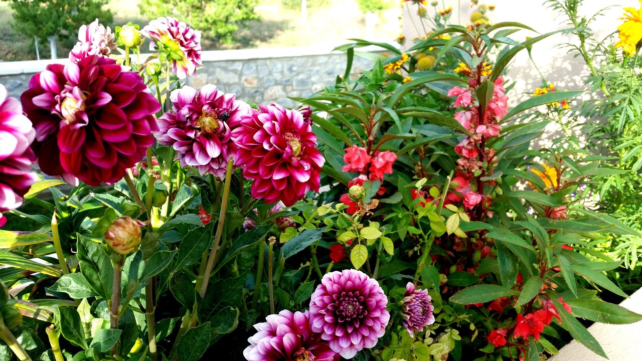 Photo of Outdoor in Monopari