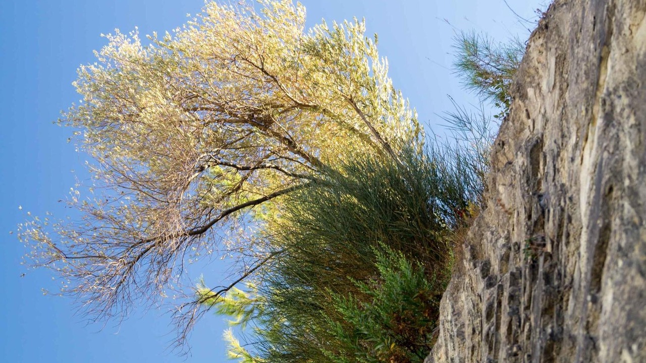 Photo of Outdoor in Kokkari