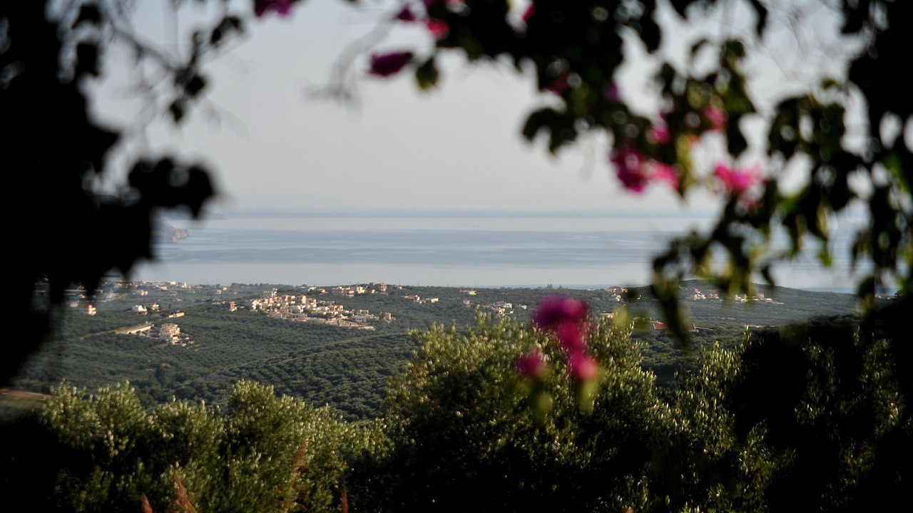 Photo of Outdoor in Platanias