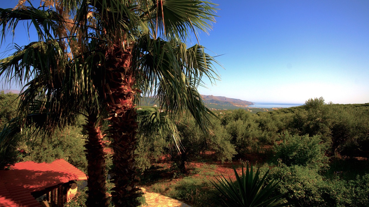 Photo of Outdoor in Platanias