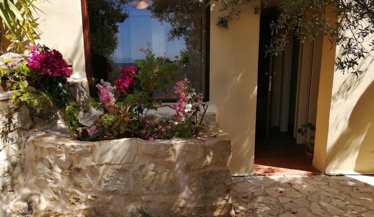 Photo of Outdoor in Platanias