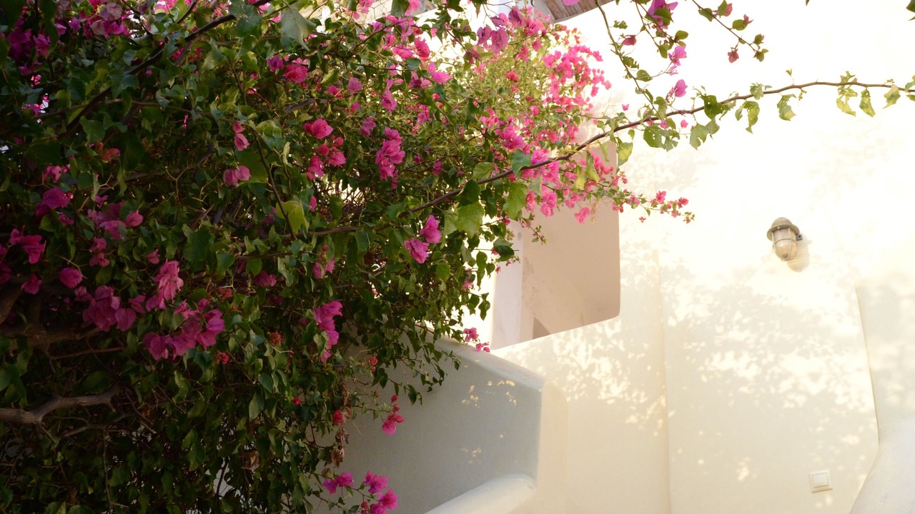 Photo of Outdoor in Merichas