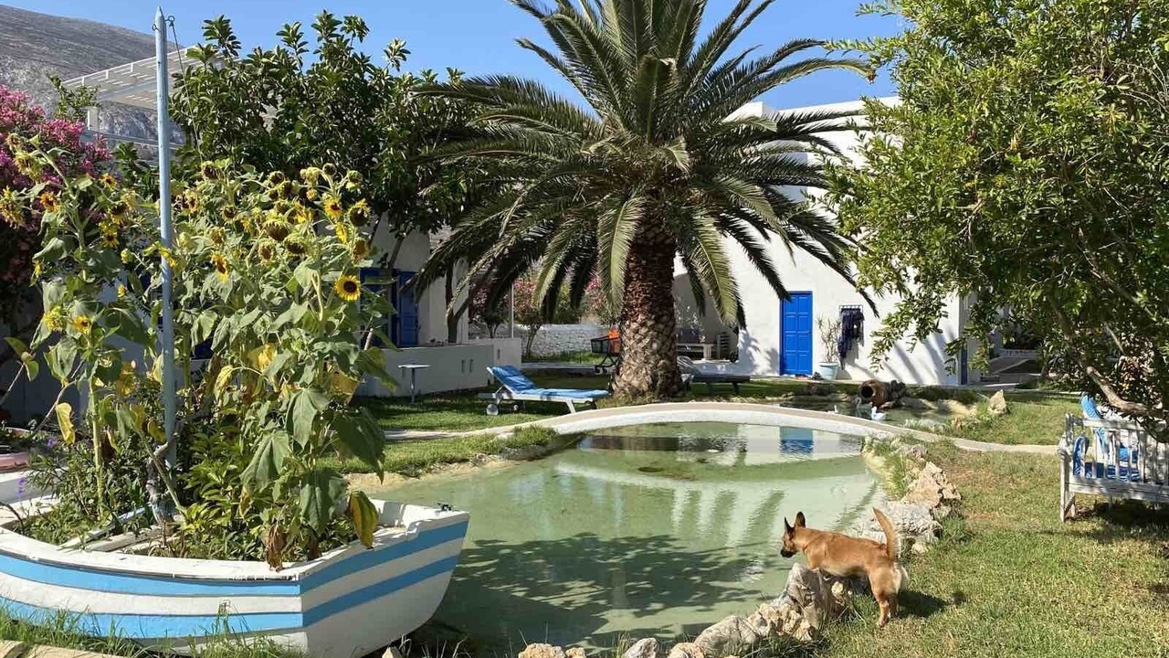 Photo of Outdoor in Aegiali