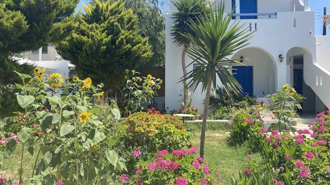 Photo of Outdoor in Aegiali