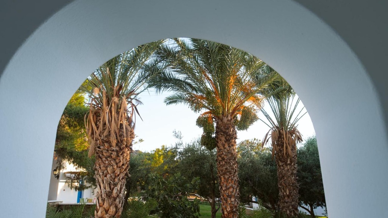 Photo of Outdoor in Ios