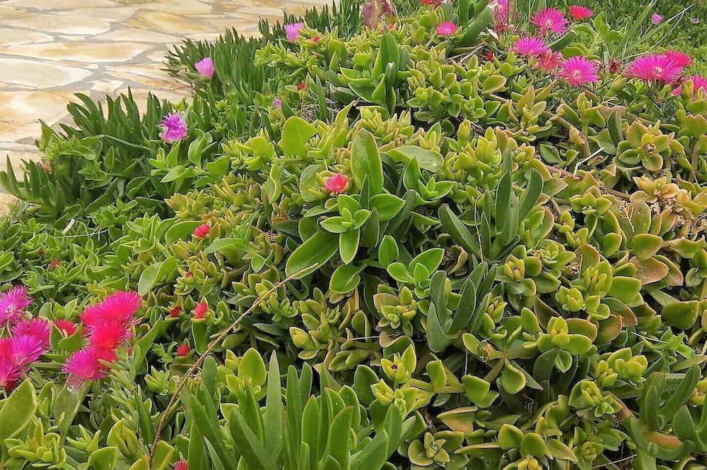 Photo of Outdoor in Stavromenos