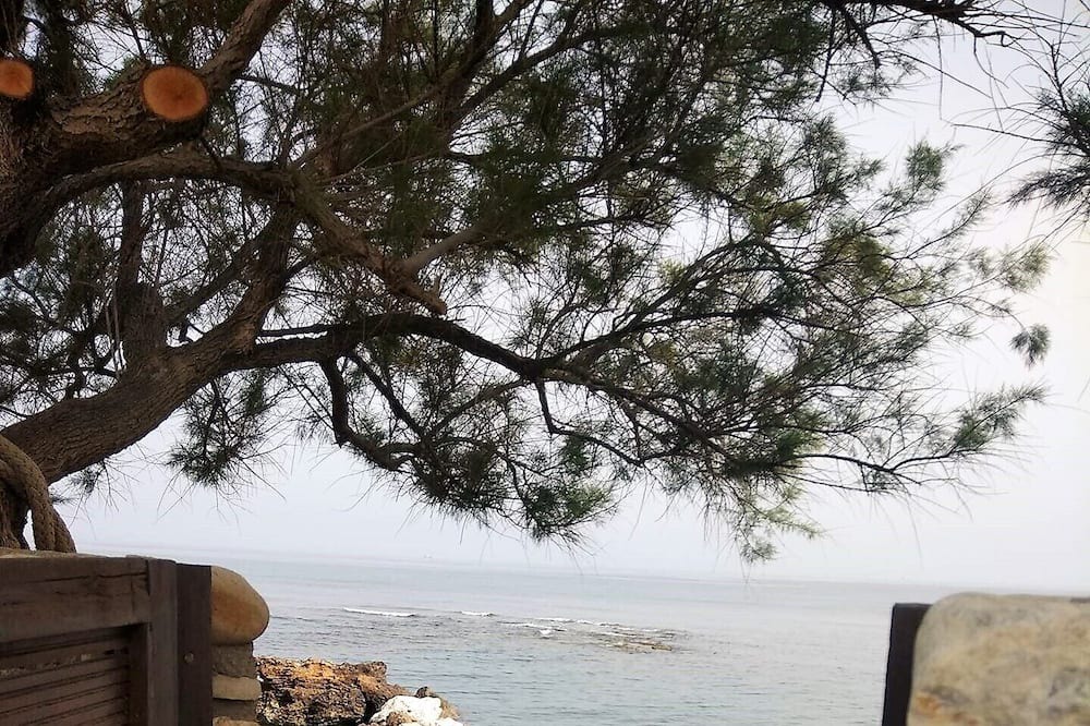 Photo of Others in Stavromenos