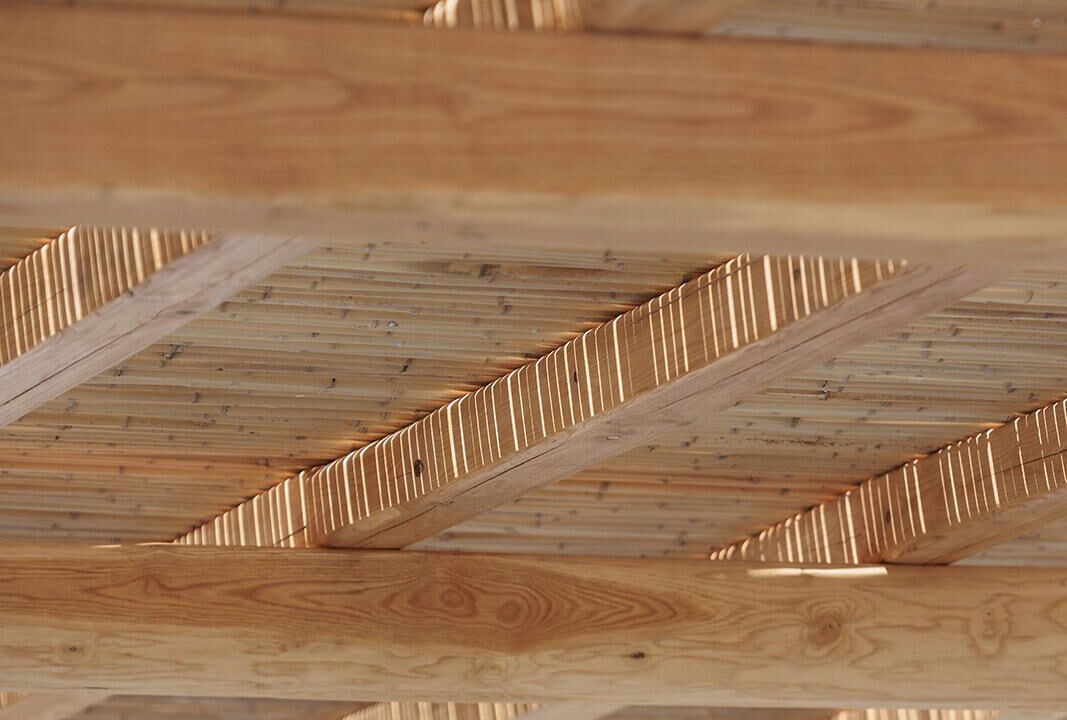 Photo of Outdoor in Stelida