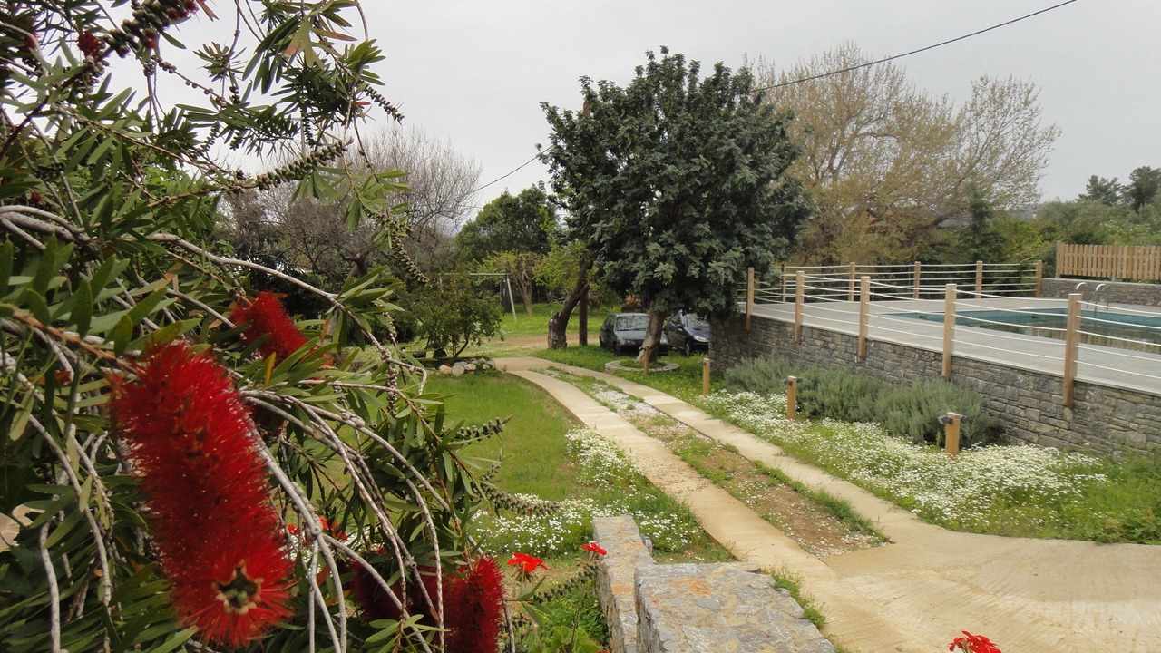 Photo of Outdoor in Avgonyma