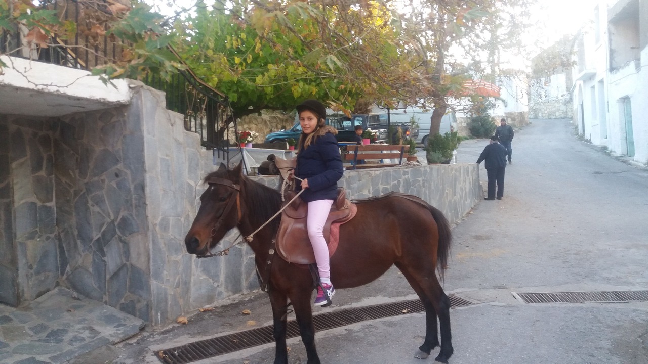 Photo of Others in Dhrimiskos