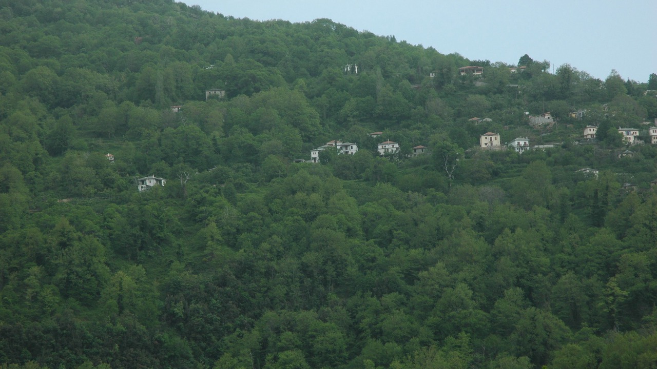 Photo of Others in Kissos
