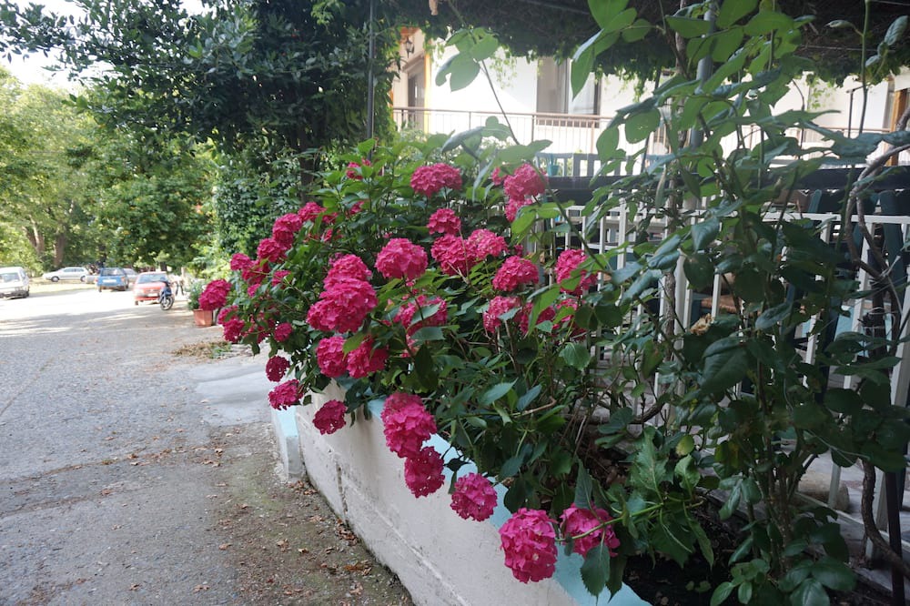 Photo of Outdoor in Therma